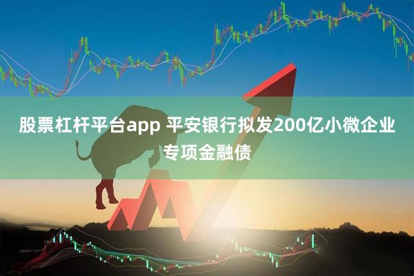股票杠杆平台app 平安银行拟发200亿小微企业专项金融债