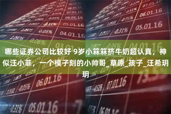 哪些证券公司比较好 9岁小箖箖挤牛奶超认真，神似汪小菲，一个模子刻的小帅哥_草原_孩子_汪希玥