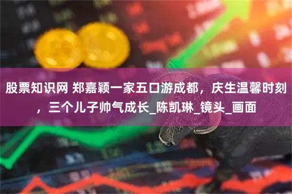 股票知识网 郑嘉颖一家五口游成都，庆生温馨时刻，三个儿子帅气成长_陈凯琳_镜头_画面