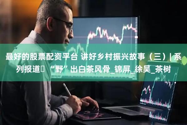最好的股票配资平台 讲好乡村振兴故事（三）| 系列报道㉝“野”出白茶风骨_锦屏_徐吴_茶树