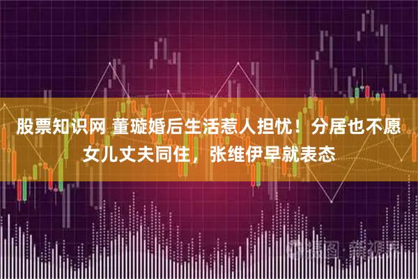 股票知识网 董璇婚后生活惹人担忧！分居也不愿女儿丈夫同住，张维伊早就表态